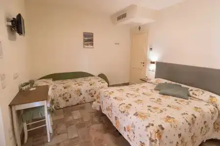 Rosa di Assisi - 44