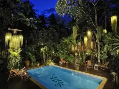 Fern Paradise - 9