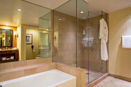 Jw Marriott Phoenix Desert Ridge Resort & Spa - 108