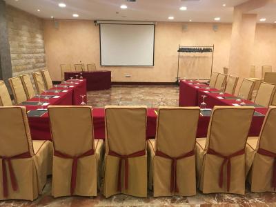 Sercotel Alfonso Vi - 18