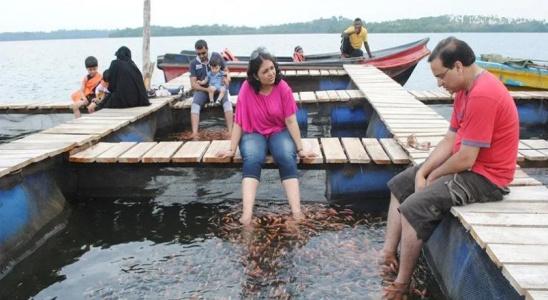 Pelli Riverine - 16