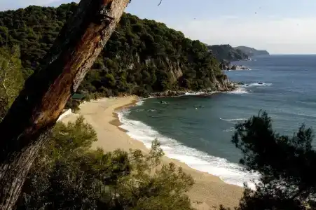 Lloret Sun - 12
