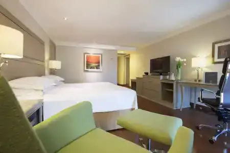 Hilton Guadalajara - 53