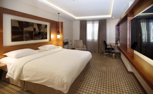 Anemon Ankara - 5