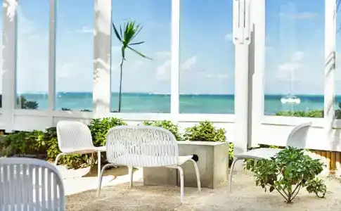 Tropical Attitude (Adults Only) - 6
