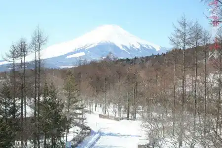 Fuji Marriott Lake Yamanaka - 28