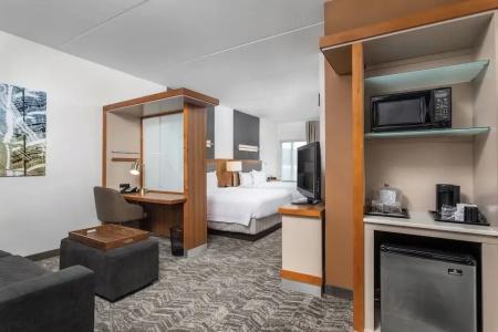 SpringHill Suites by Marriott Downtown/Cameron Harbor - 25