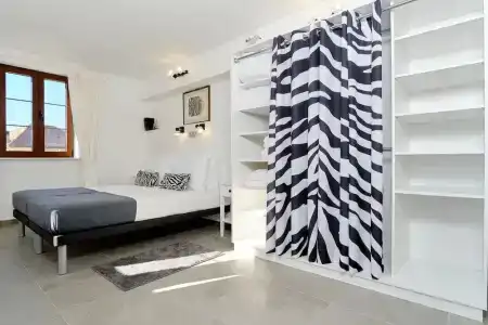 Apart Zebra - 0
