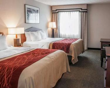 Comfort Inn Indianapolis South I-65 - 3