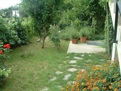 Il Giardino Dei Limoni - 3