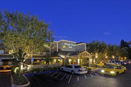 Maple Tree Inn - 21