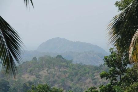 Anura Guest Inn - 13