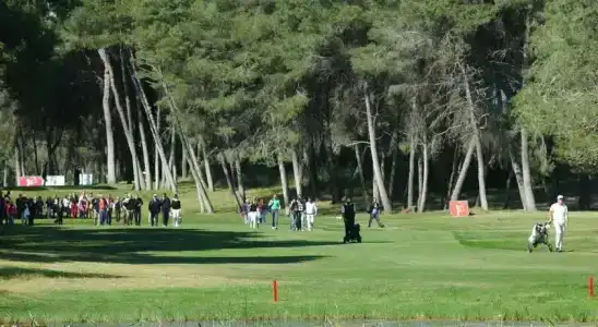 Riva Dei Tessali & Golf Resort - 7