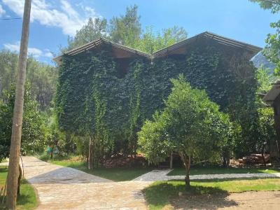 Olympos Camlık Pension - 12