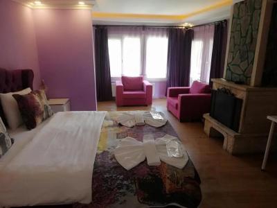 Alesta Butik Otel - 58