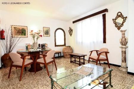 La Ceiba - 5