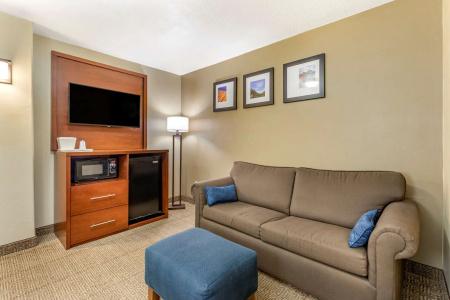 Comfort Inn Saint George North - 44