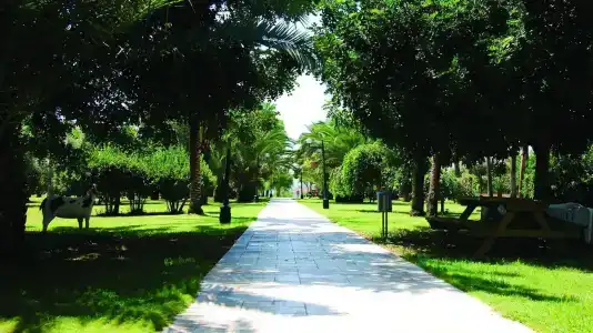 Sural Saray - 27