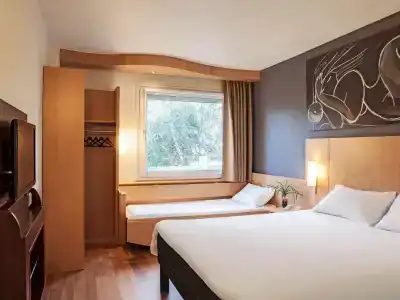 Ibis Cornella - 9