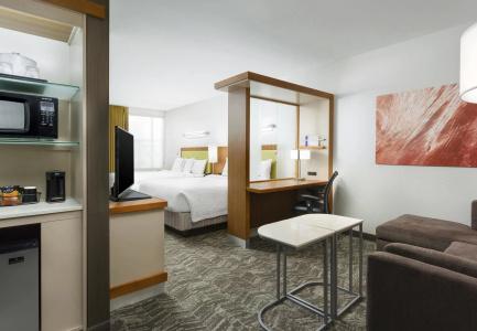 SpringHill Suites by Marriott San Diego Mission Valley - 1