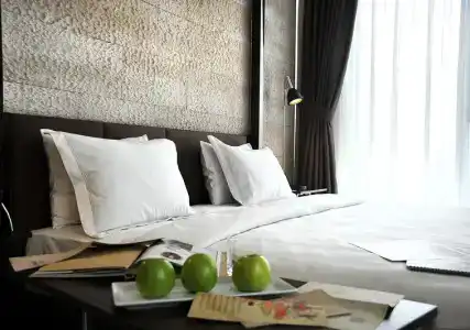Anemon Samsun - 25