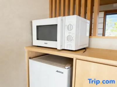Kansai Airport Pine - 80