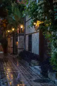 Tuvana - 29