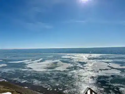 Яровое - 5