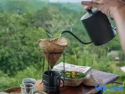 Khaosok Boutique Camps - 51