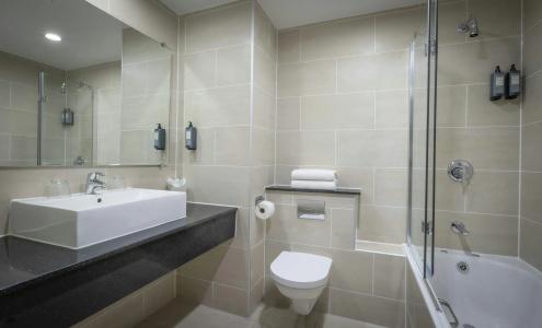 Clayton Ballsbridge - 8