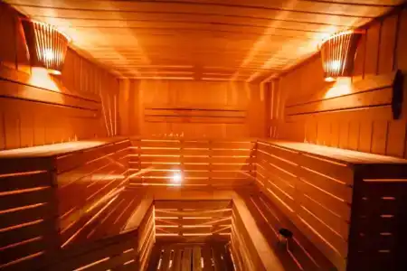 Сосны - 11
