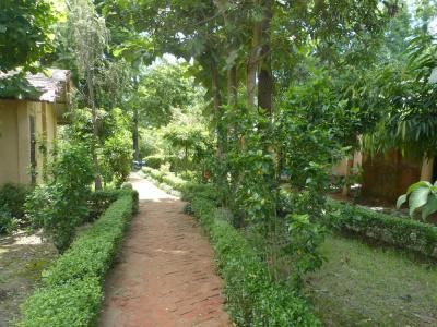 Nature Safari - 9