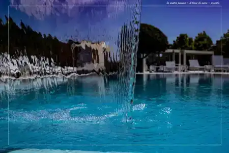 Il Leone Di Mare - 22