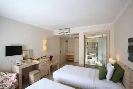 Zeytinada - 24