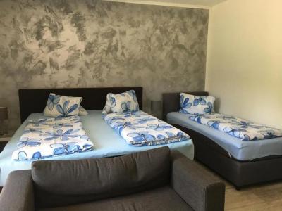 Pension Waldesruh - 17