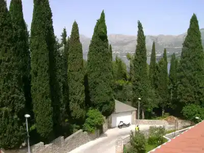 Villa Anka - 24