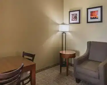 Comfort Inn South I-20 - 35