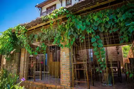 Calm House Hoi An - 0