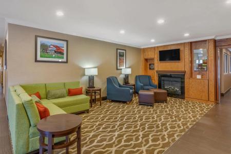 Comfort Inn & Suites North Dallas-Addison - 6