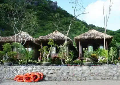 Monkey Island Resort - 55