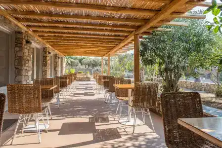 Vienoula's Garden - 16