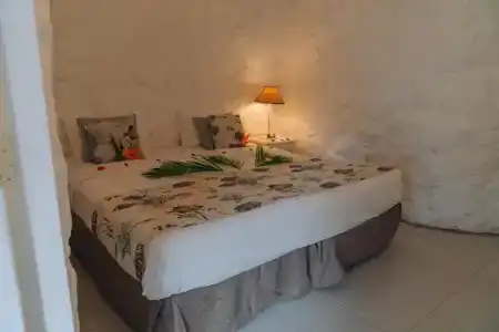 Casuarina Resort and Spa - 52