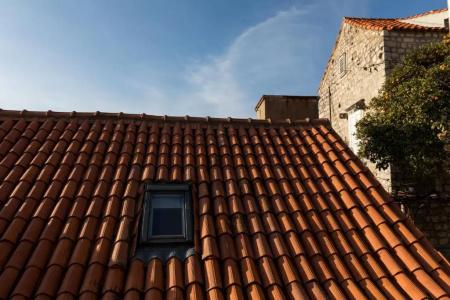 Ivana - 42