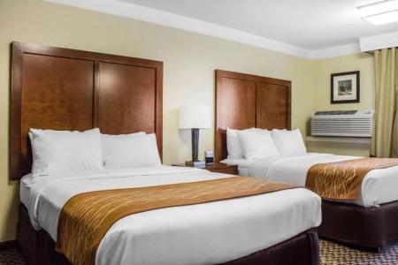 Comfort Inn & Suites - 82