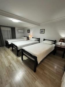 Nest Inn - 39