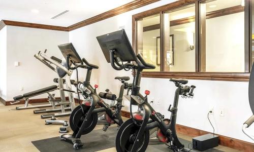 The Collection at the Ritz Carlton Residences - 30