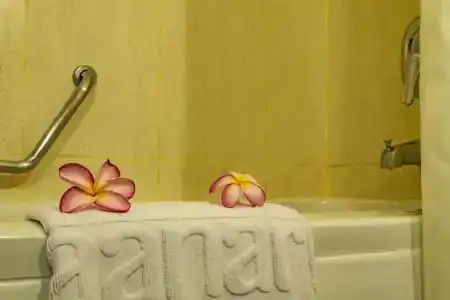 Aanari & Spa - 109