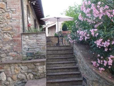 Casanova di Pescille - 37