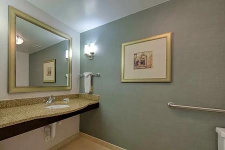 Hilton Garden Inn Southpoint - 84