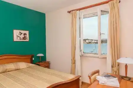 Spongiola - 206
